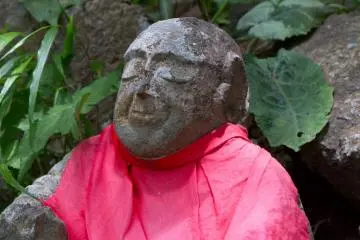 숲속에 있으면 깊은 휴식을 취할 수 있겠다