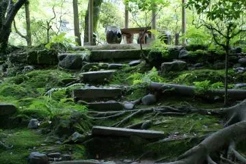 <p>The atmospheric path leading up to the garden's high point</p>