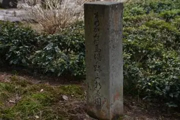 <p>Stone marker with a poem on the ex-horse-riding grounds, the current tea plantation</p>