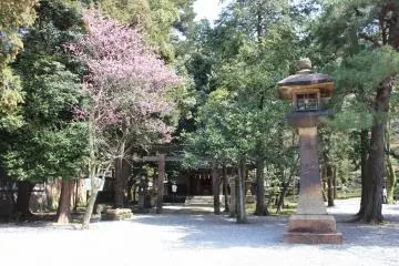 원경