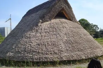 Pithouse from the back