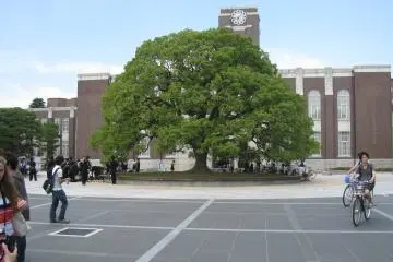 <p>Symbol tree</p>