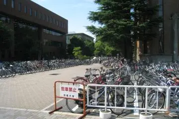 <p>A lot of greenery and bicycles</p>