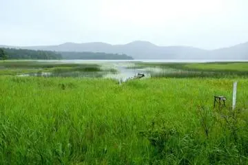 <p>Ozenuma lake in the rain</p>