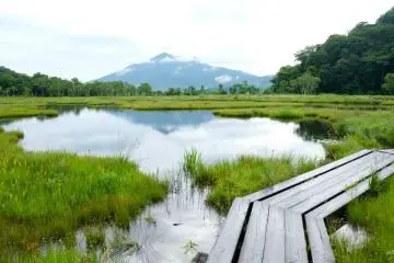 <p>Sakasa-hiuchi in summer</p>