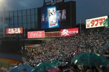 Tokyo Yakult Swallows fans celebrating a run with their famous "umbrella dance."