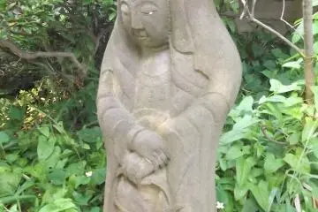 <p>This lady lives in the wilder part behind the main hall</p>