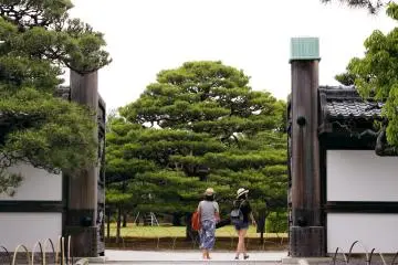 <p>A gate into the garden</p>