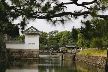 <p>Another view onto that complex</p>