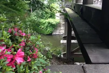 Details of the wooden bridge from the Castle.