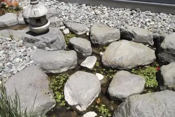 <p>The shallow pond in the garden</p>