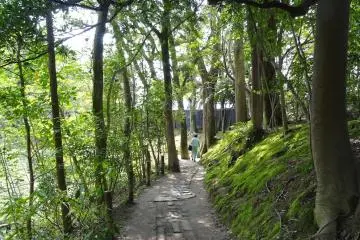 <p>ทางเดินที่ร่มรื่น</p>