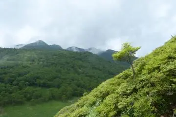 풍경은 항상 변한다