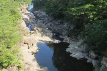 Half Price Travel Vouchers in Iwate