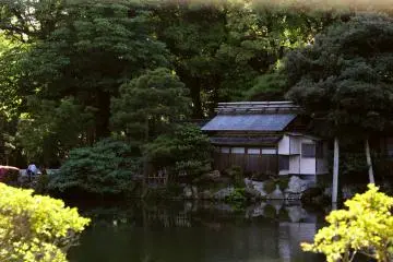 <p>Another tea house on the edge of a pond</p>