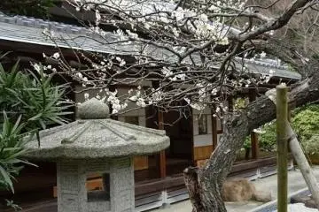 <p>อีกมุมหนึ่งของสวนเซน</p>