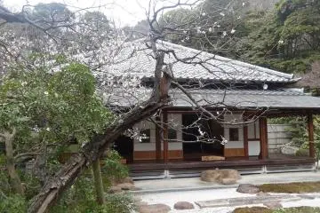 <p>โรงน้ำชาและสวนเซนที่งดงาม</p>