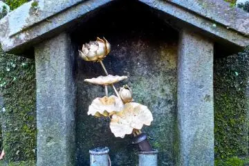 <p>Close up on a golden lotus;&nbsp;Myohonji Temple, Kamakura</p>