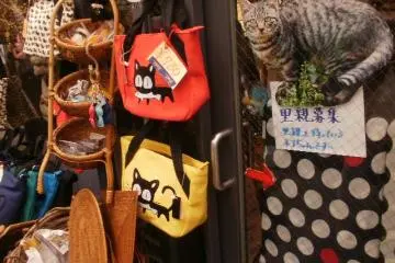 A shop displays cat bags and a sign appealing for homes for stray cats (Photo: Mary Wislowski)