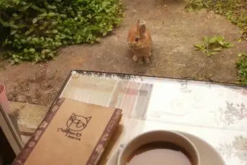 Vice President Mugi in the garden at Cafe Chaporo
