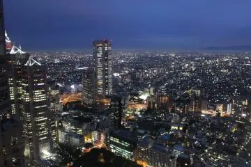 <p>A breathtaking view of Tokyo in all of its glory</p>