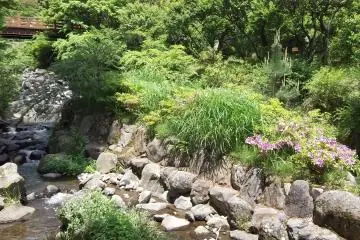 <p>The park is full of flowers and greenery</p>