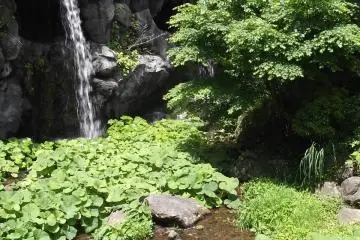 <p>There's this waterfall at the head of the stream</p>