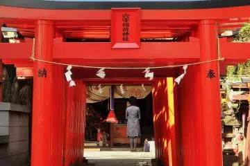 Gallery image