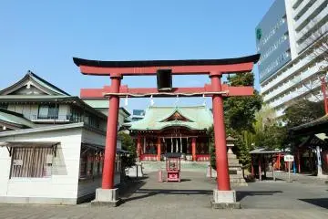 Gallery image