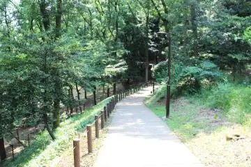 <p>One of the many paths to walk down</p>