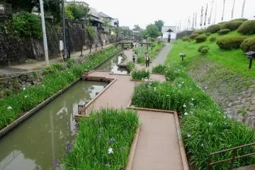 You can follow a zigzag boardwalk along the river