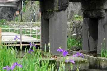 Several stone bridges cross the river, including one that you have to duck under!