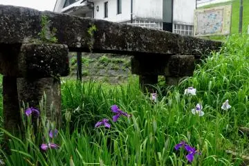 The buildings along the river are either all original or were built in the traditional white-washed style