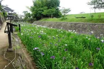 <p>Weekdays are best to visit if you don't like crowds, but there is more of a festival atmosphere on the weekends</p>
