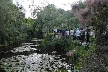 Monet-inspired Pond at Chichu Museum (Photo: Cliff Bernstein)