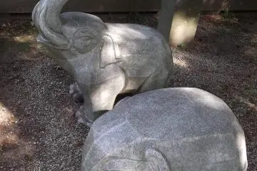 <p>Dua gajah mengerikan di taman atas</p>