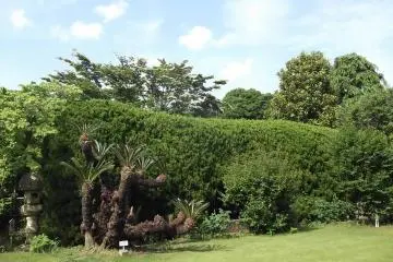 <p>Bagian dari taman atas</p>