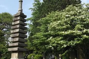 <p>Dekat pagoda ini ada beberapa langkah turun menuju taman yang lebih rendah</p>