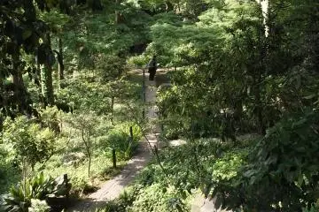 <p>Melihat ke bawah menuju taman yang lebih rendah</p>
