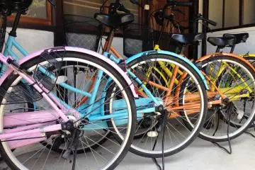 <p>Pop candy colored non electric bicycles are also for hire for a reasonable 500 yen per half day.</p>