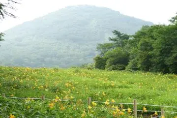 What a beautiful mountain!