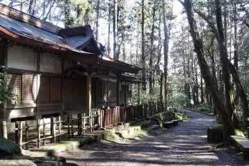 Gallery image