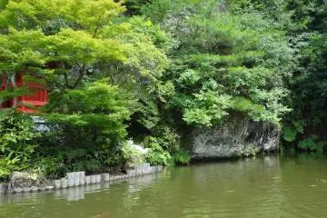 The pond in the temple courtyard