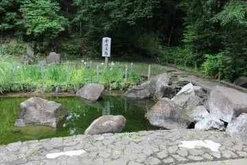 <p>One of the many ponds</p>