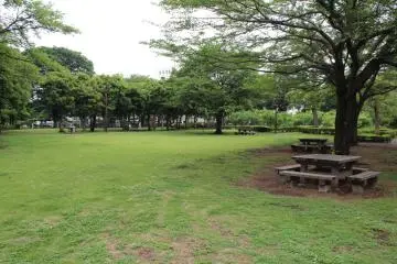 <p>A spacious park with a variety of spots to relax in</p>