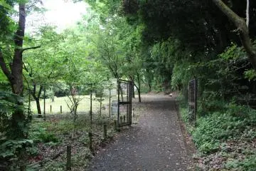 <p>The paths make for a great walk</p>