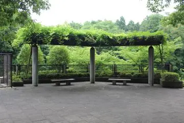 <p>A place to sit and enjoy the park</p>
