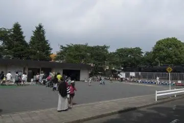 <p>... just as these really young drivers queue up eagerly for the next session. There are different vehicles for toddlers and children of different ages.</p>