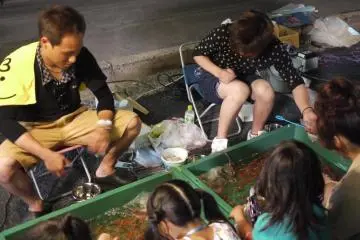 kingyo (goldfish) catching game