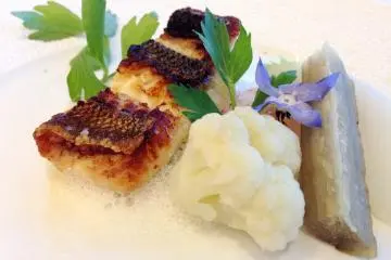 Sea Bass with gobo and cauliflower on a creamy potato foam base, topped with blue flowers. The gobo had a complex interplay of tastes from sweet to savoury and bitter.